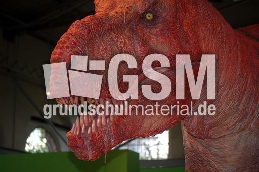 Tyrannosaurus rex 2.jpg
